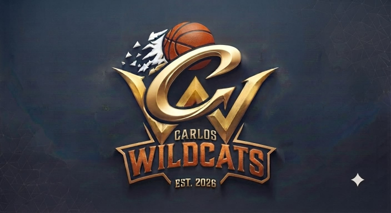 WILDCATS												